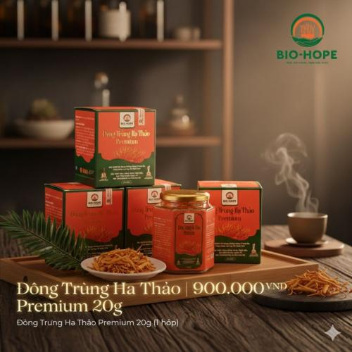 Đông Trùng Hạ Thảo Premium – Giải Pháp Quà Biếu Sức Khỏe Cao Cấp Được Ưa Chuộng Hiện Nay
